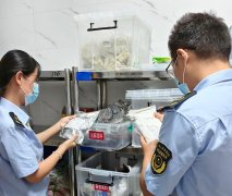  芜湖市湾沚区市场监管局：严把开学食安